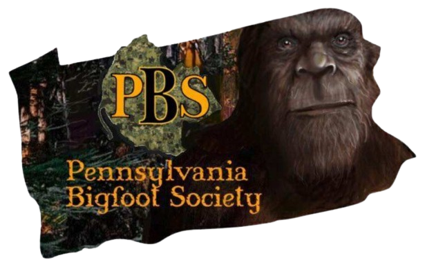 Para-Storm Fest logo 2